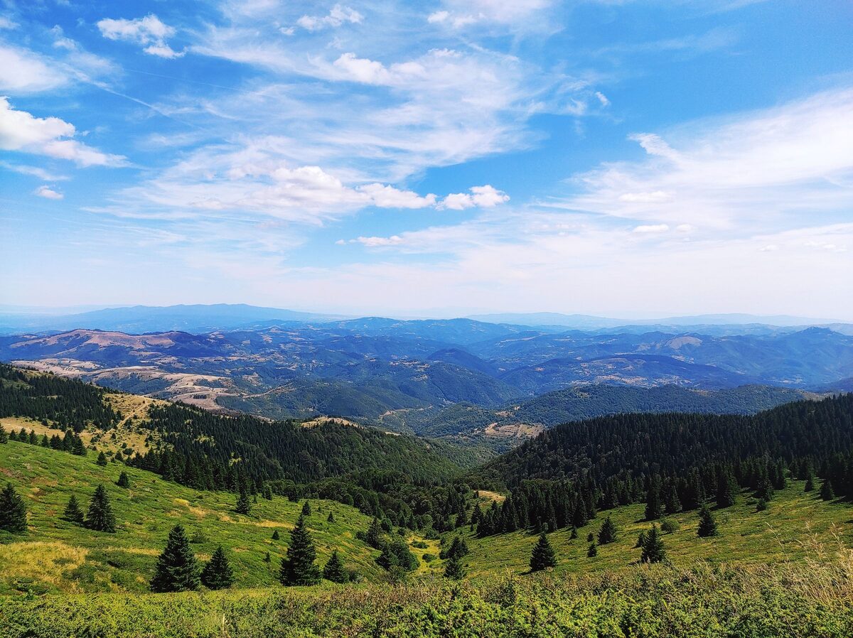 Green slopes dotted with spruce trees on Kopaonik falling away to layered blue ridges and valleys under a summer sky.