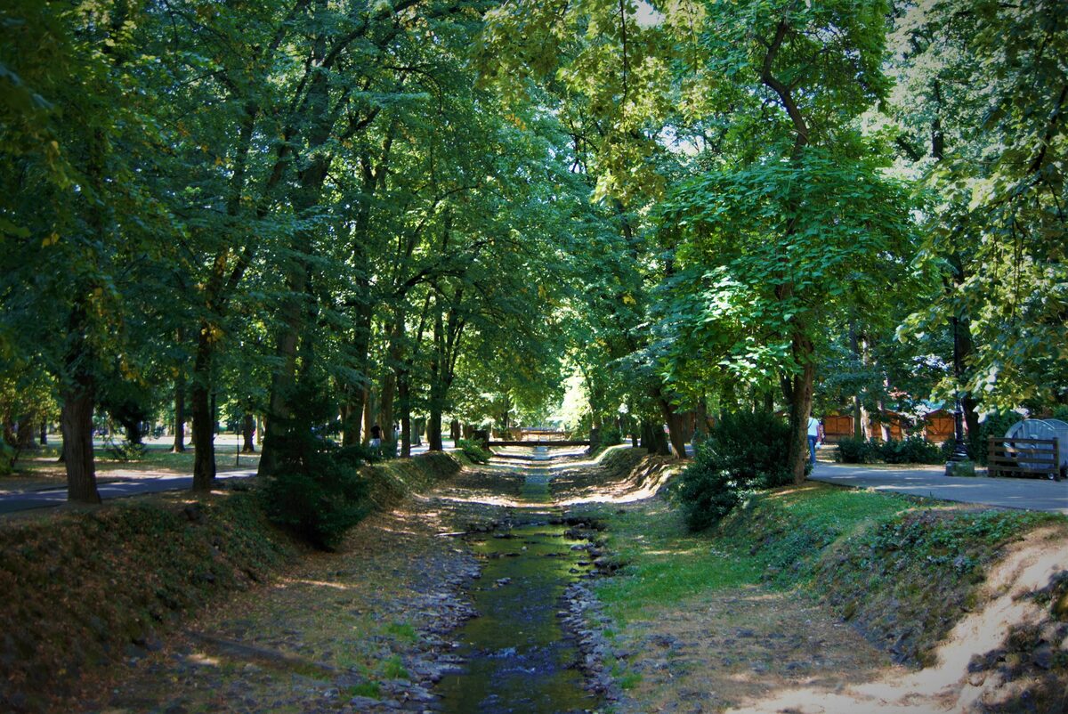 The shallow Vrnjačka river running between grassy banks under a tunnel of tall trees, with footpaths on both sides and a small bridge in the distance.