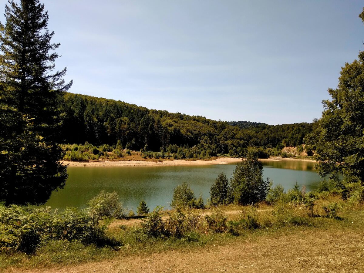 Selište lake on Goč, a calm green pool with a sandy shore, ringed by conifer and beech forest on a summer day.