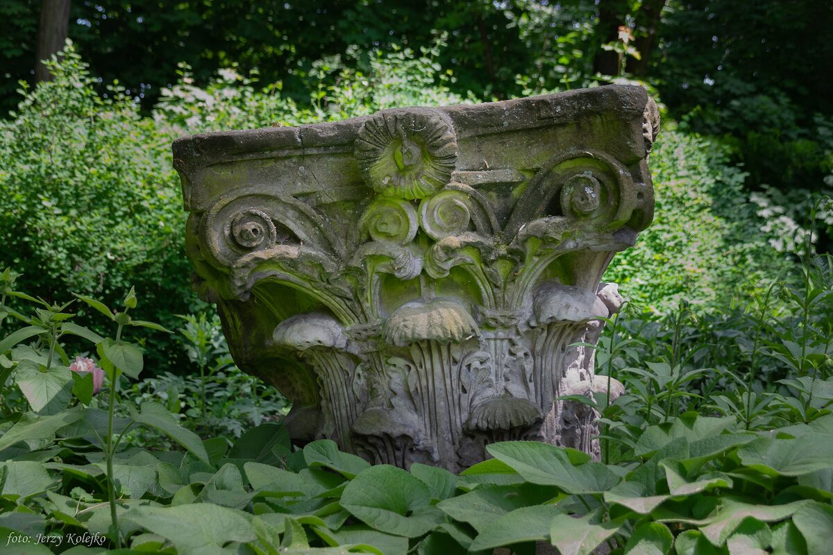 A carved stone column capital among green plants in the romantic garden of Arkadia