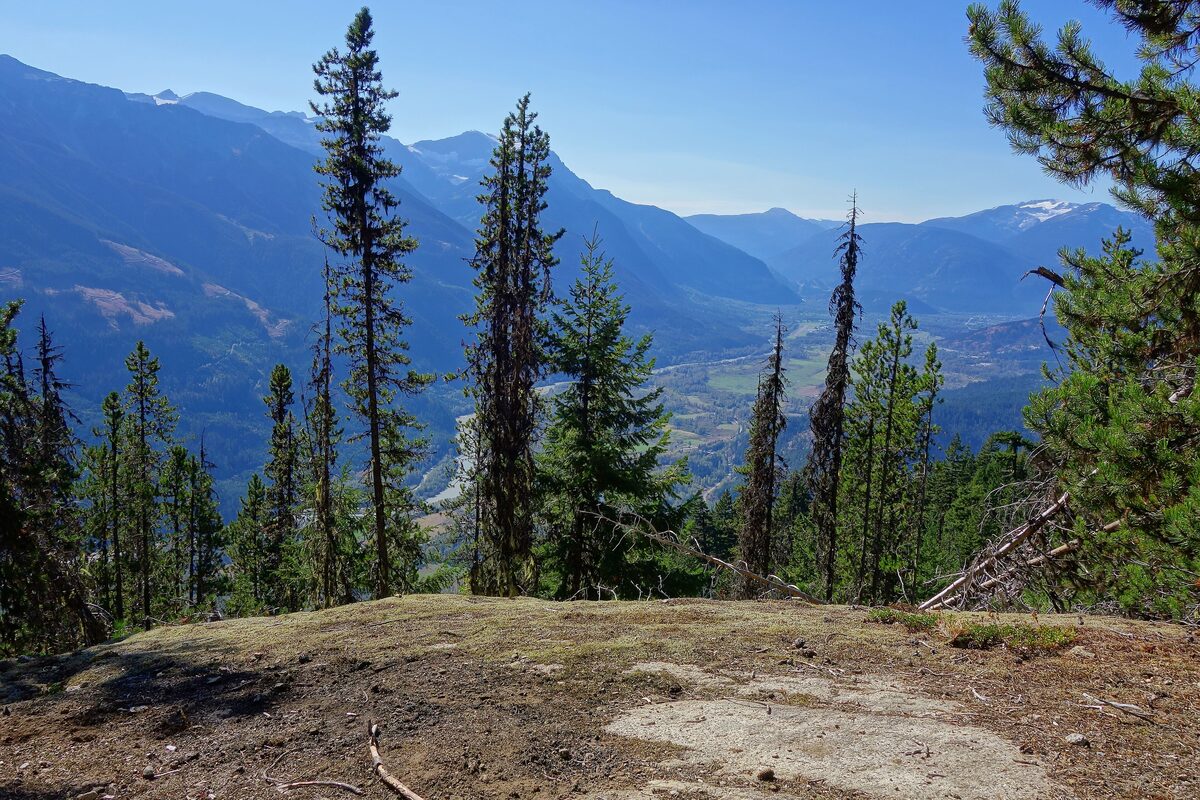 A forested viewpoint above the Pemberton valley with mountains in the distance