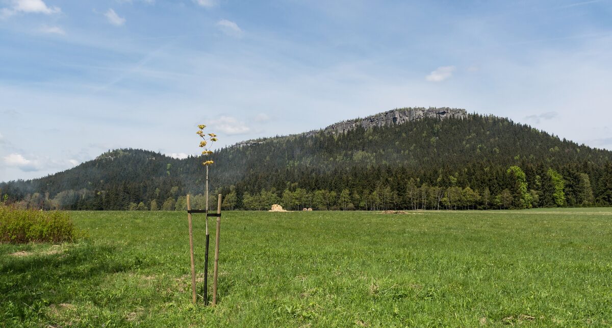 Szczeliniec Wielki, a forested mountain topped with sandstone rocks, seen across a meadow