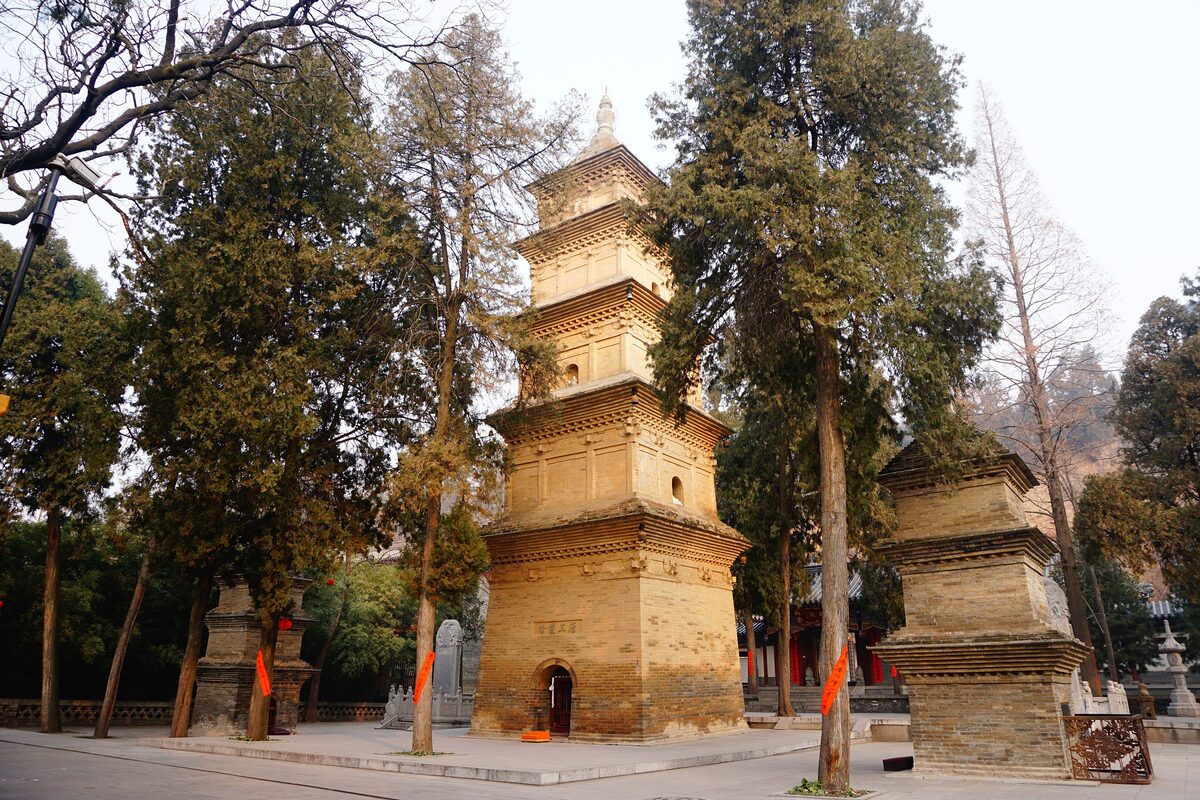 The brick pagodas of Xuanzang and his disciples among old trees in the grounds of Xingjiao Temple