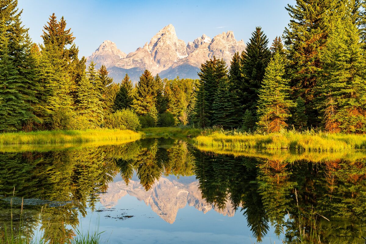The Teton peaks reflected in a Schwabacher Landing pond