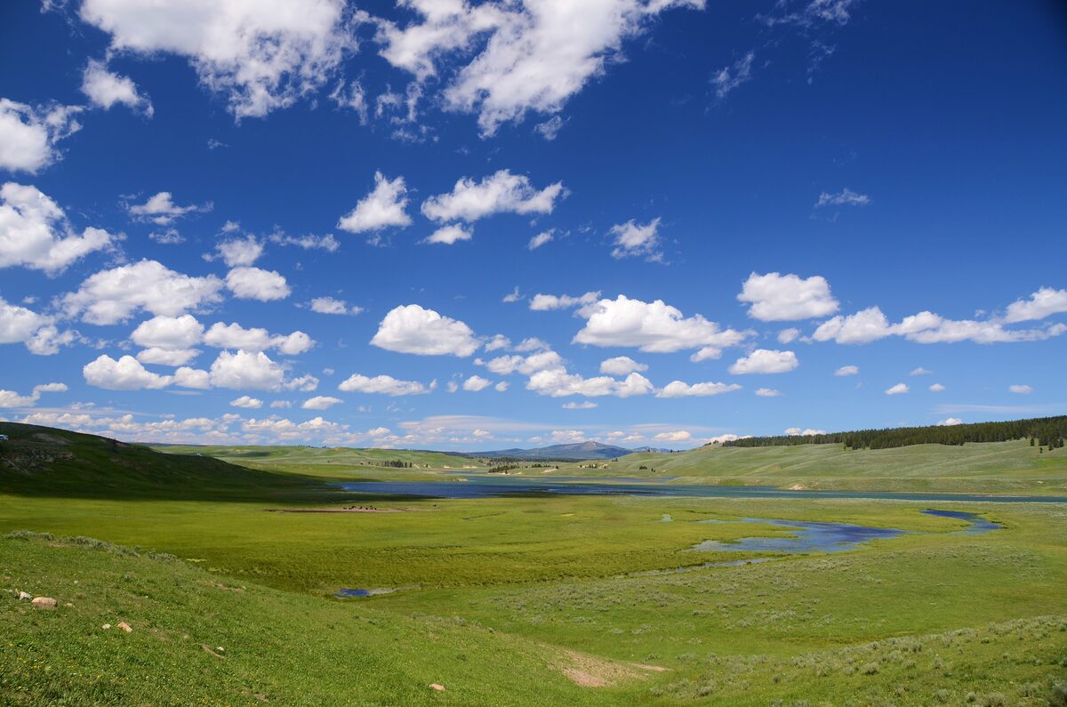 Hayden Valley's green meadows and winding river under blue sky