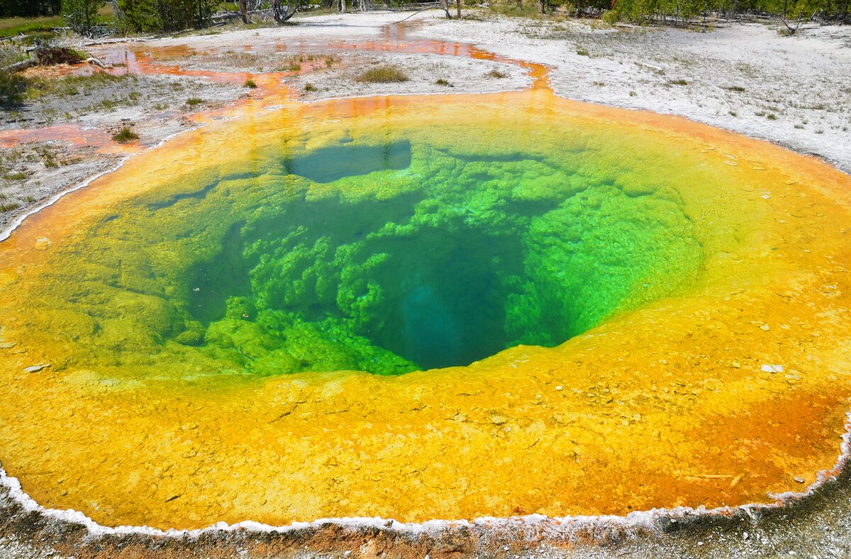 Morning Glory Pool ringed in orange, yellow and green water