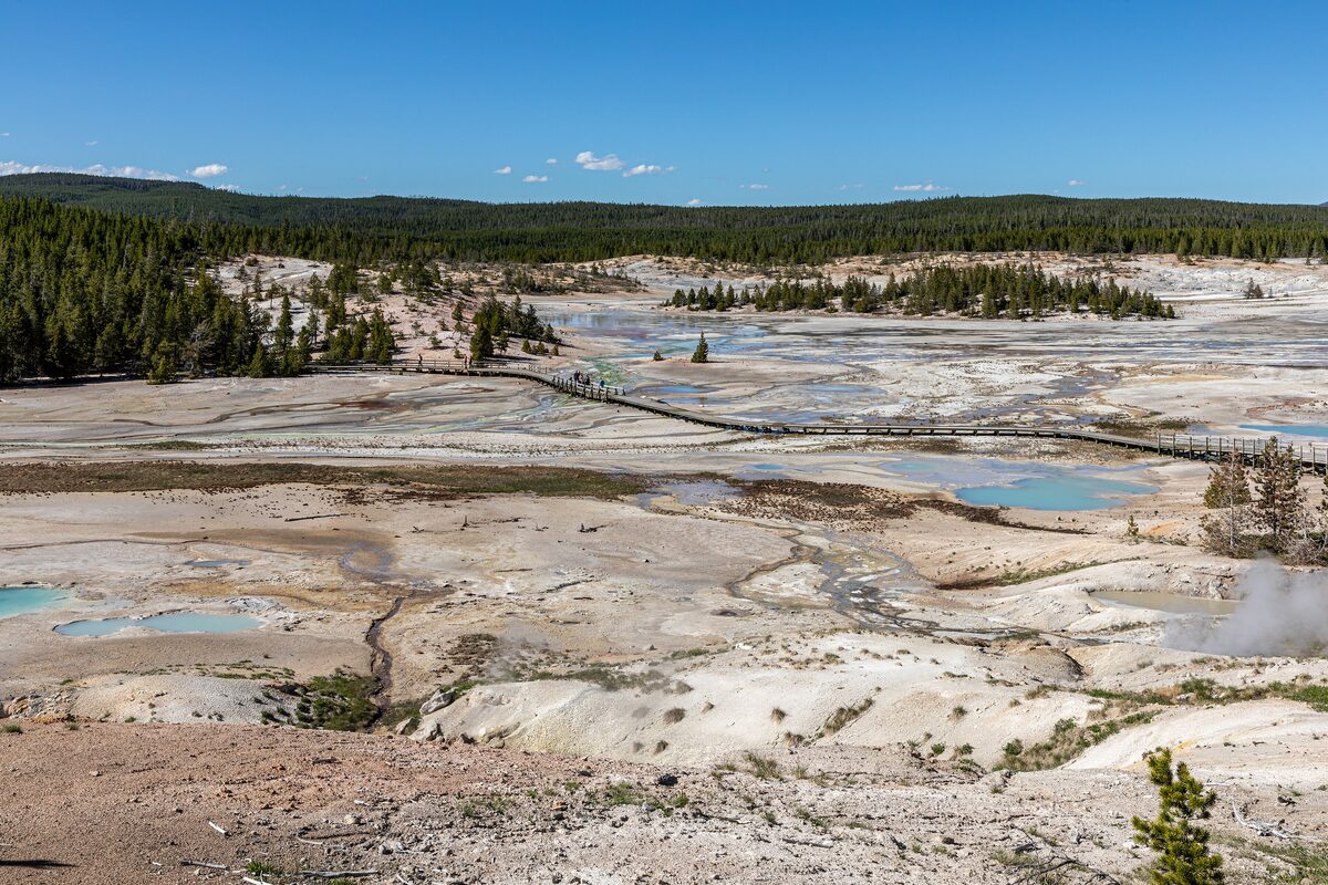 Porcelain Basin at Norris, pale ground with turquoise pools
