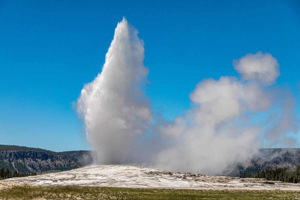 Old Faithful erupting in a white plume against a blue sky