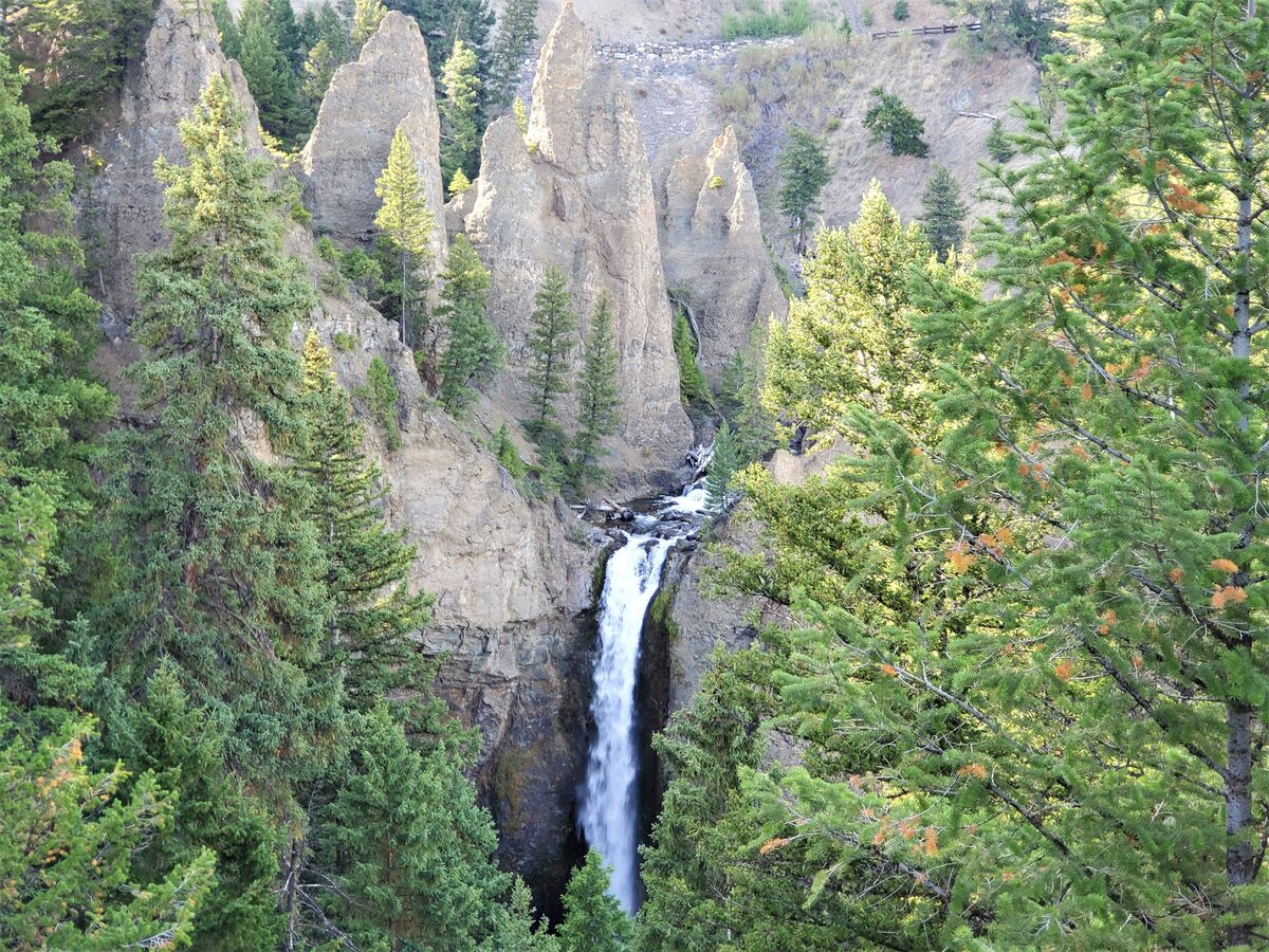 Tower Fall dropping between rock spires and pine trees
