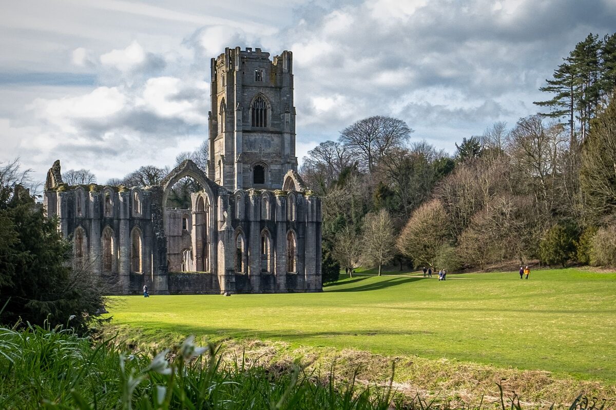 The great ruins of Fountains Abbey with its tower reflected in a river among green lawns