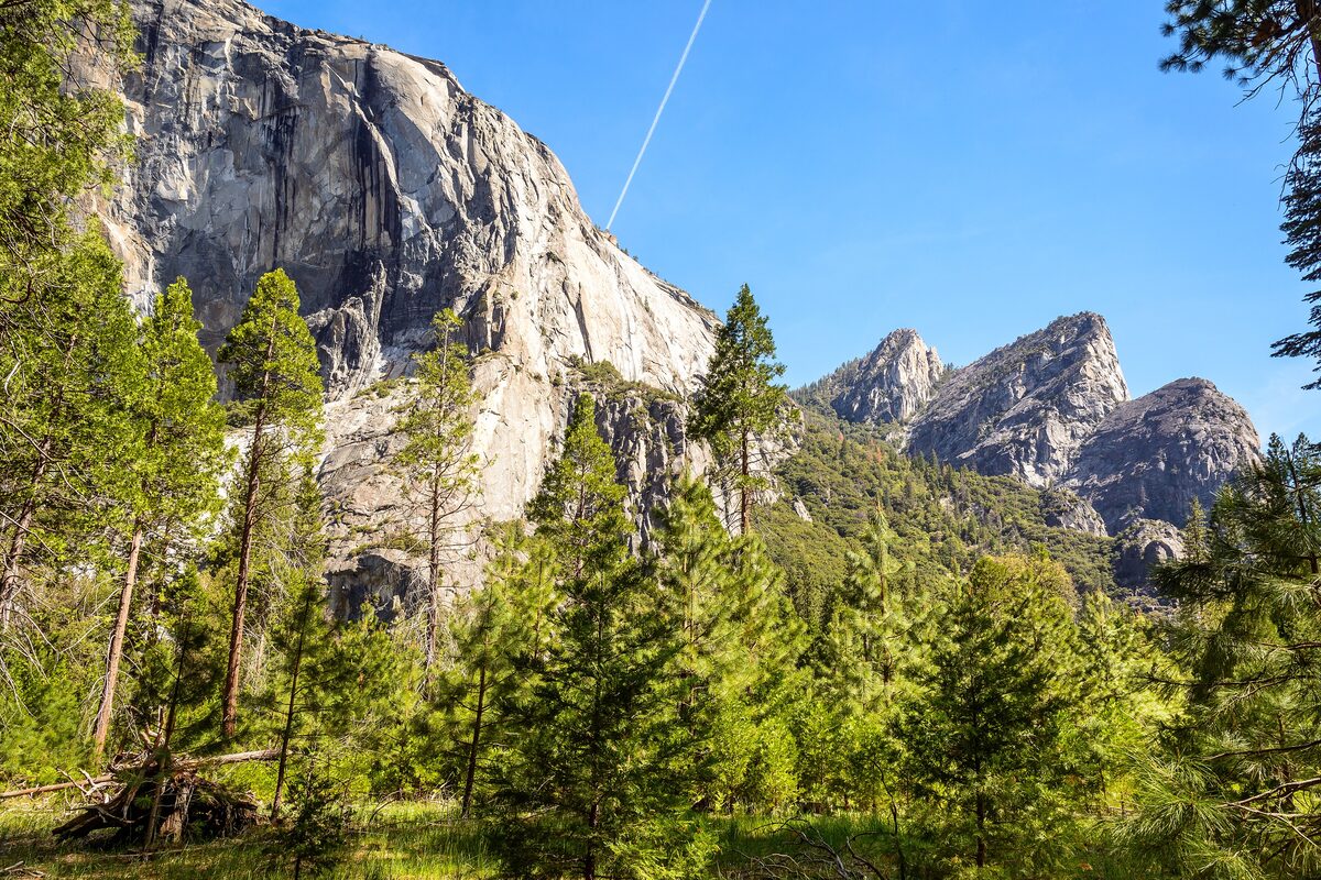 El Capitan's granite face rising above pines in Yosemite Valley