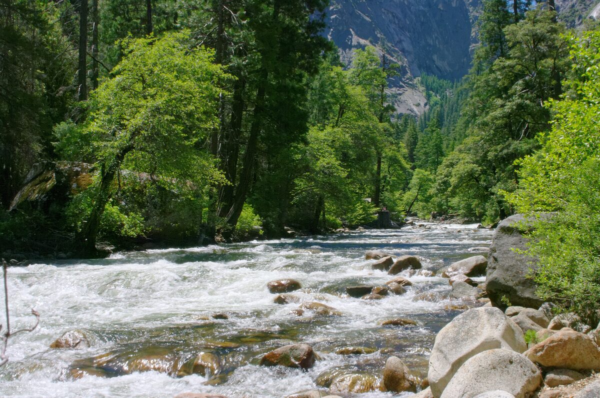 The Merced River tumbling over boulders near Happy Isles, framed by trees