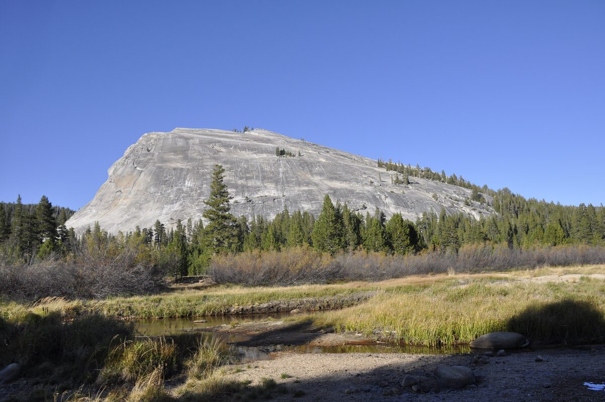 Lembert Dome's pale granite rising above the Tuolumne meadow