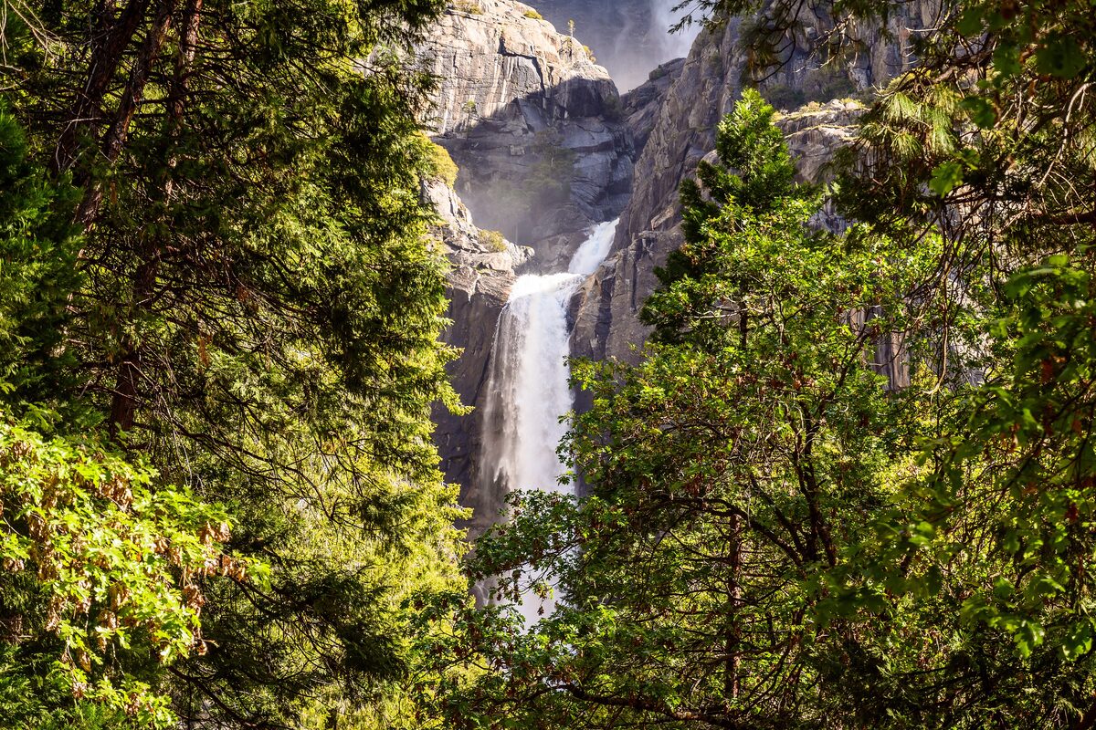 Lower Yosemite Fall seen through pines on the sunny forest trail