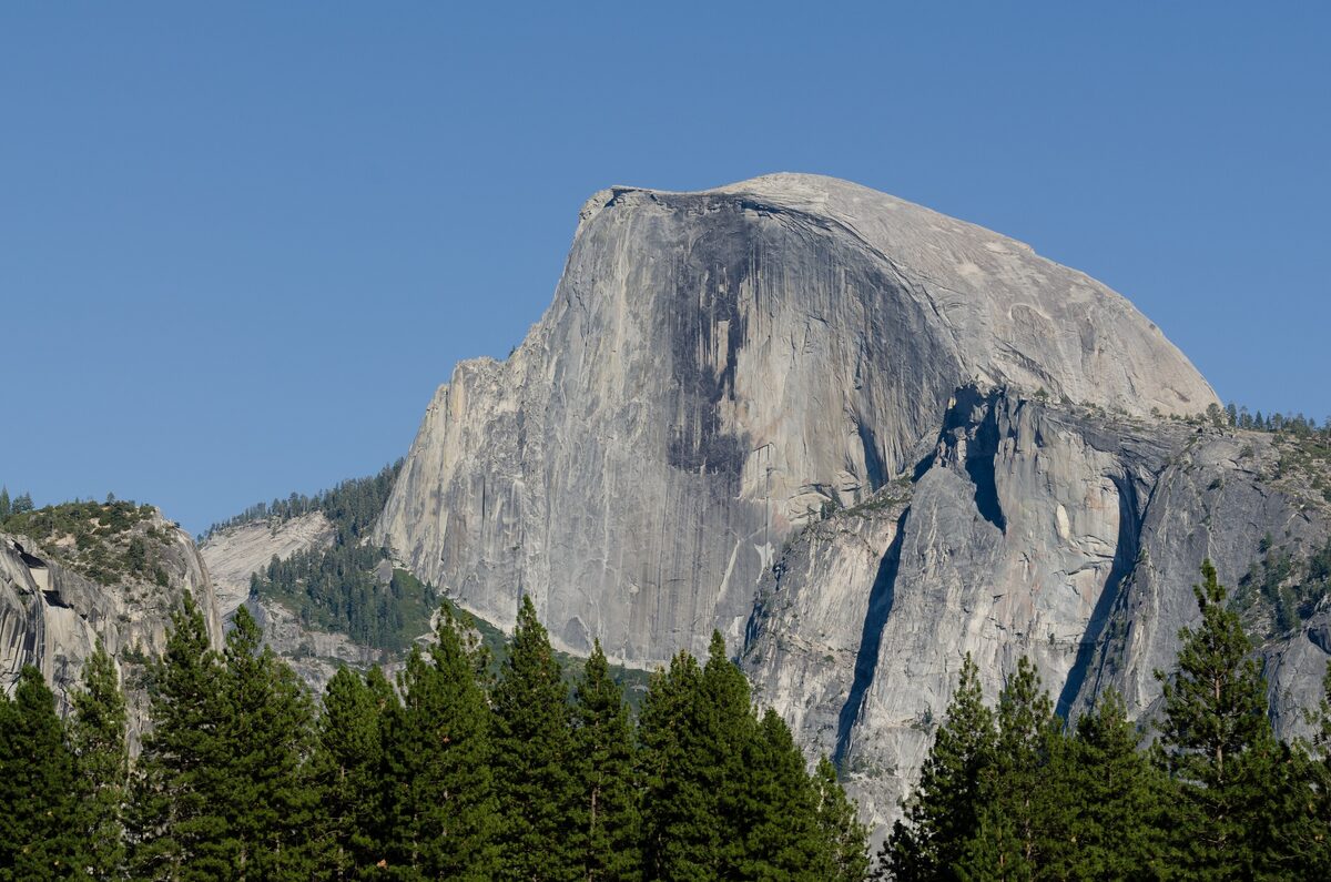 Half Dome's rounded granite face rising above the Valley forest