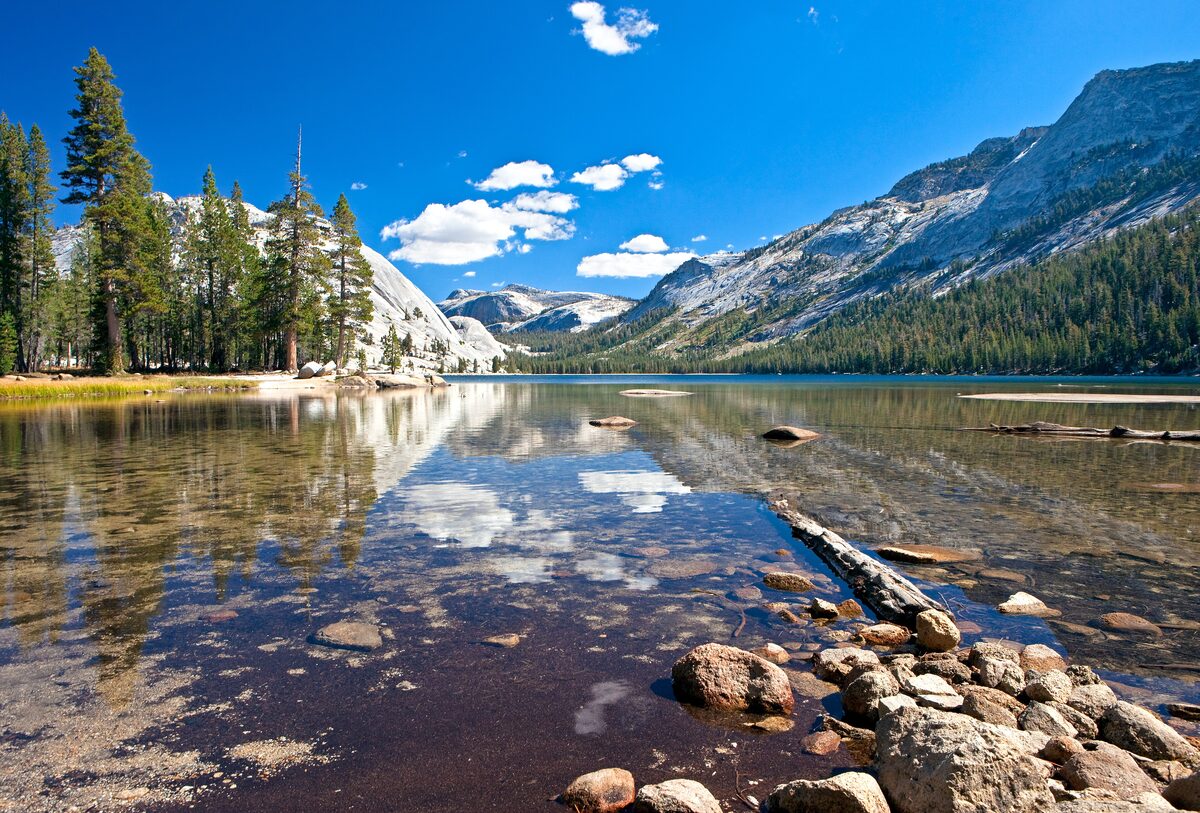 Tenaya Lake's clear shallows and granite domes under a blue sky