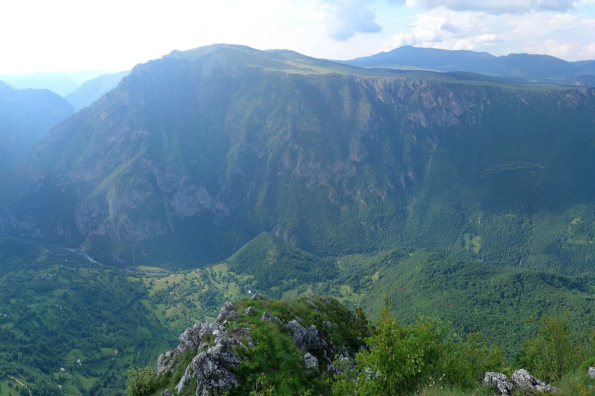 The Tara canyon seen from the Ćurevac rock look-out, with a steep forested wall, the river far below and green meadows of the valley floor