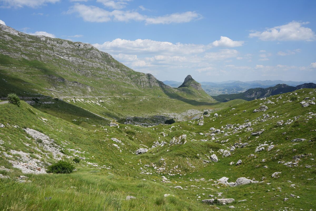 The Sedlo pass landscape of grass and limestone rock, with the sharp peak of Stožina rising in the middle distance