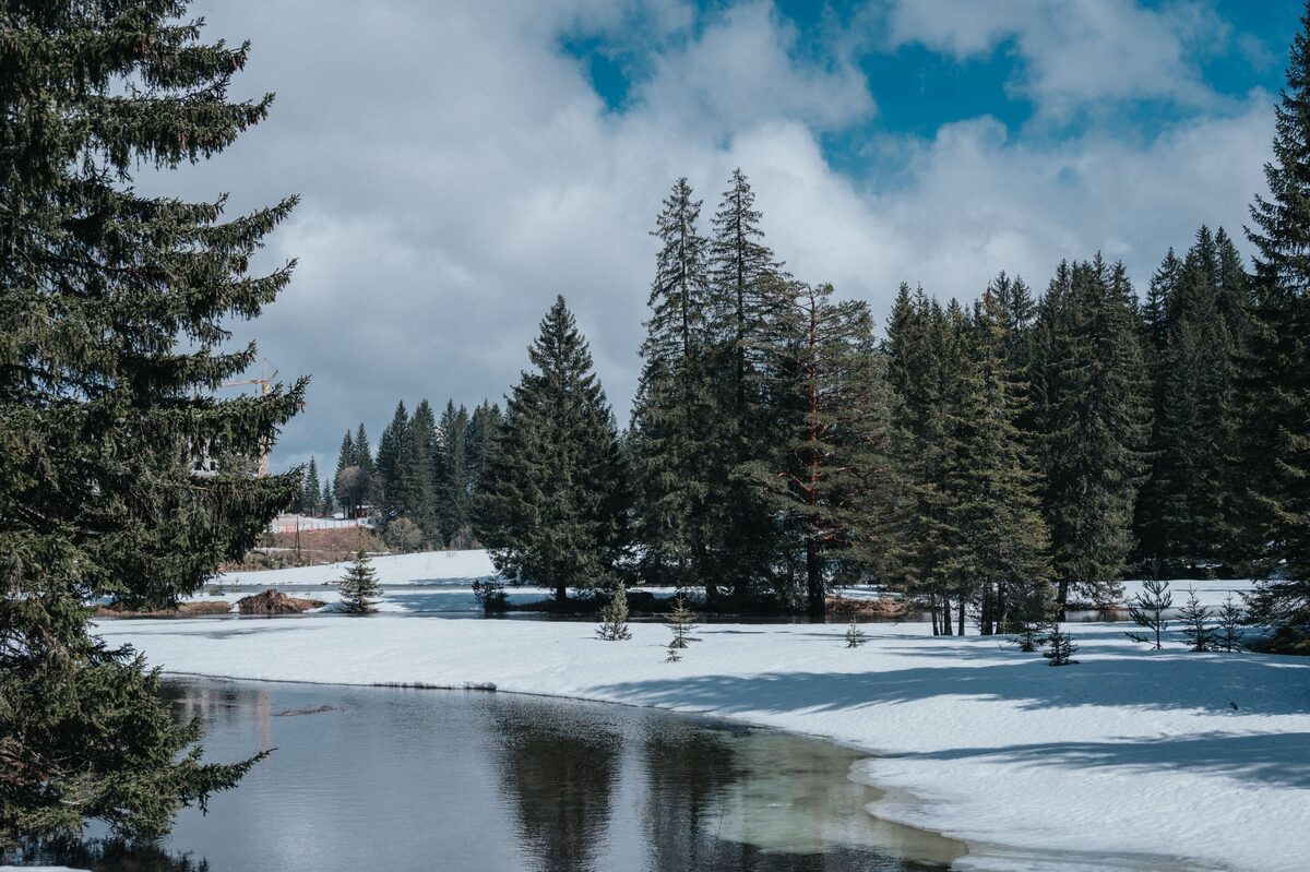Snow on the shore of a lake near Žabljak, with open dark water in front of tall spruce trees under a partly blue sky