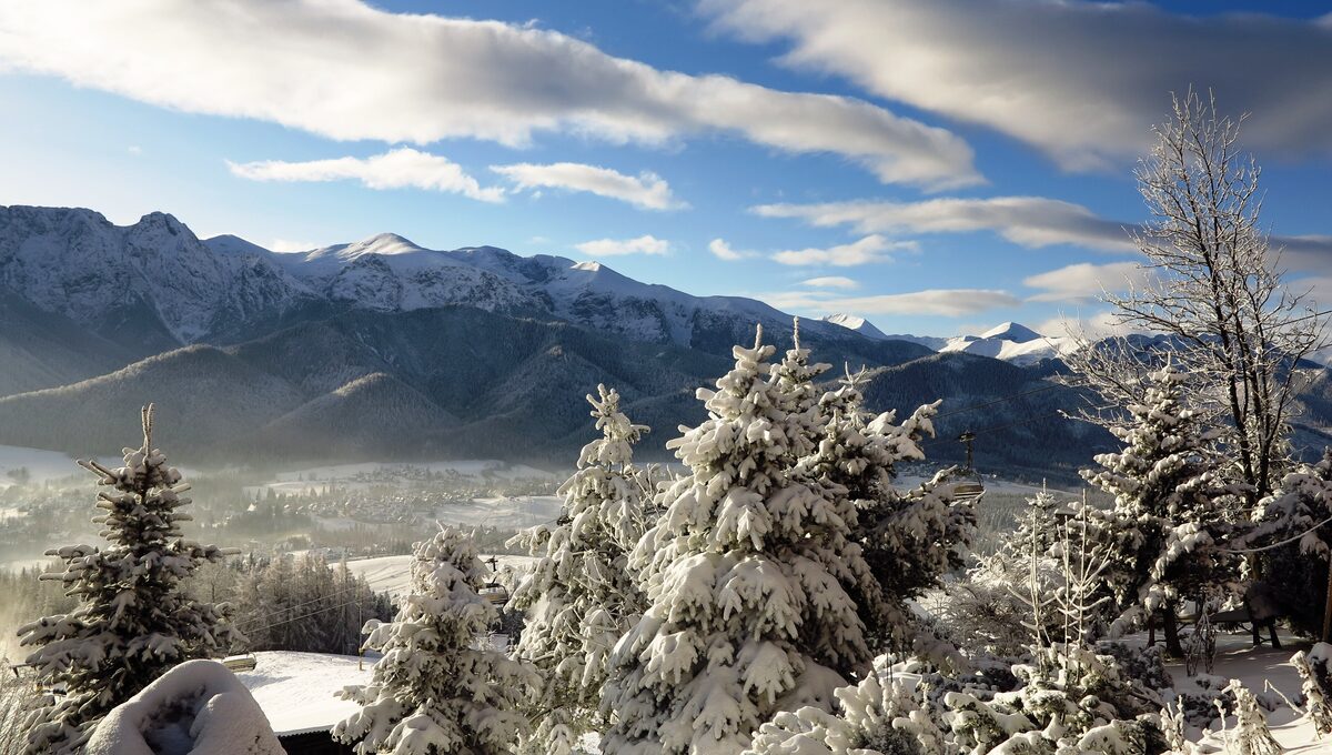 Snow-laden spruces in the foreground, the Tatra ridge beyond and the valley below, seen from a Zakopane guesthouse