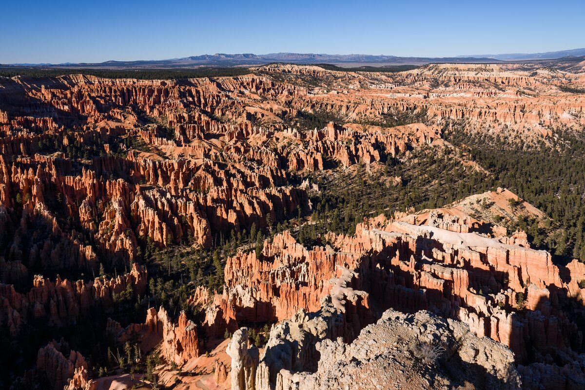 Bryce amphitheater packed with hoodoos seen from Bryce Point