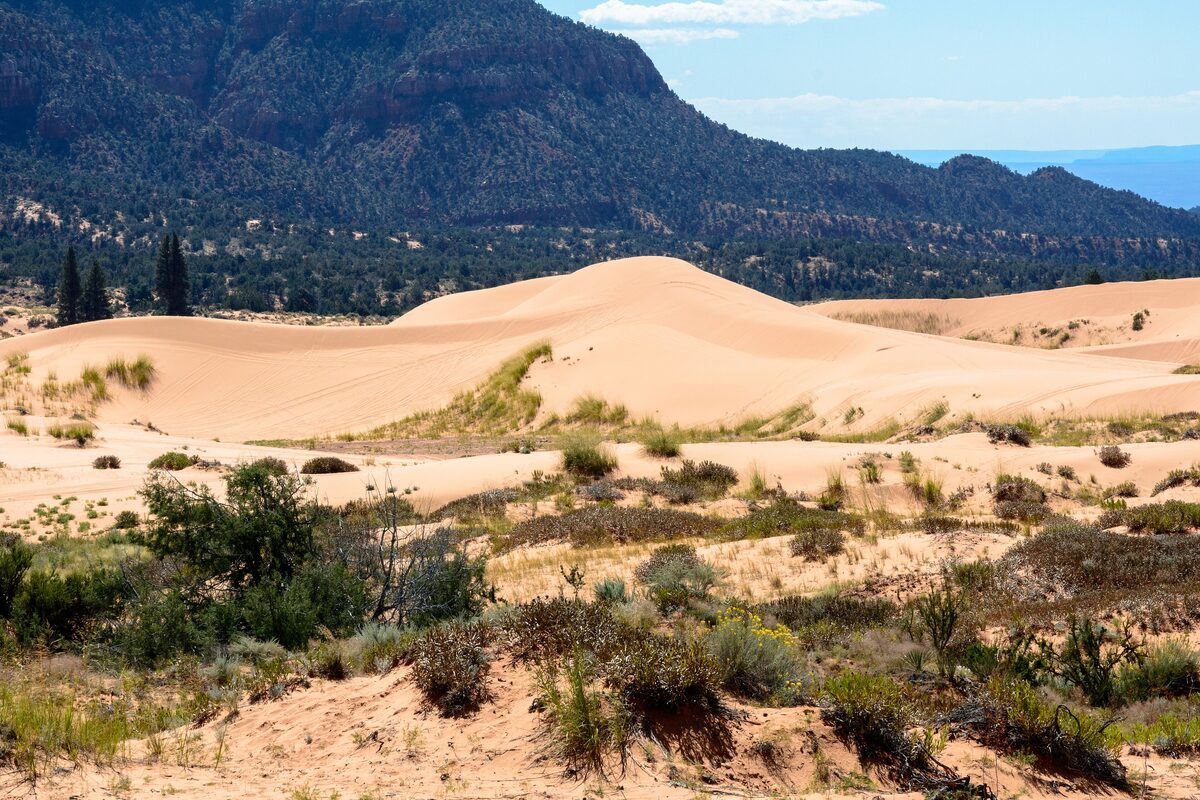 Coral-colored dunes and sagebrush below dark hills at Coral Pink Sand Dunes