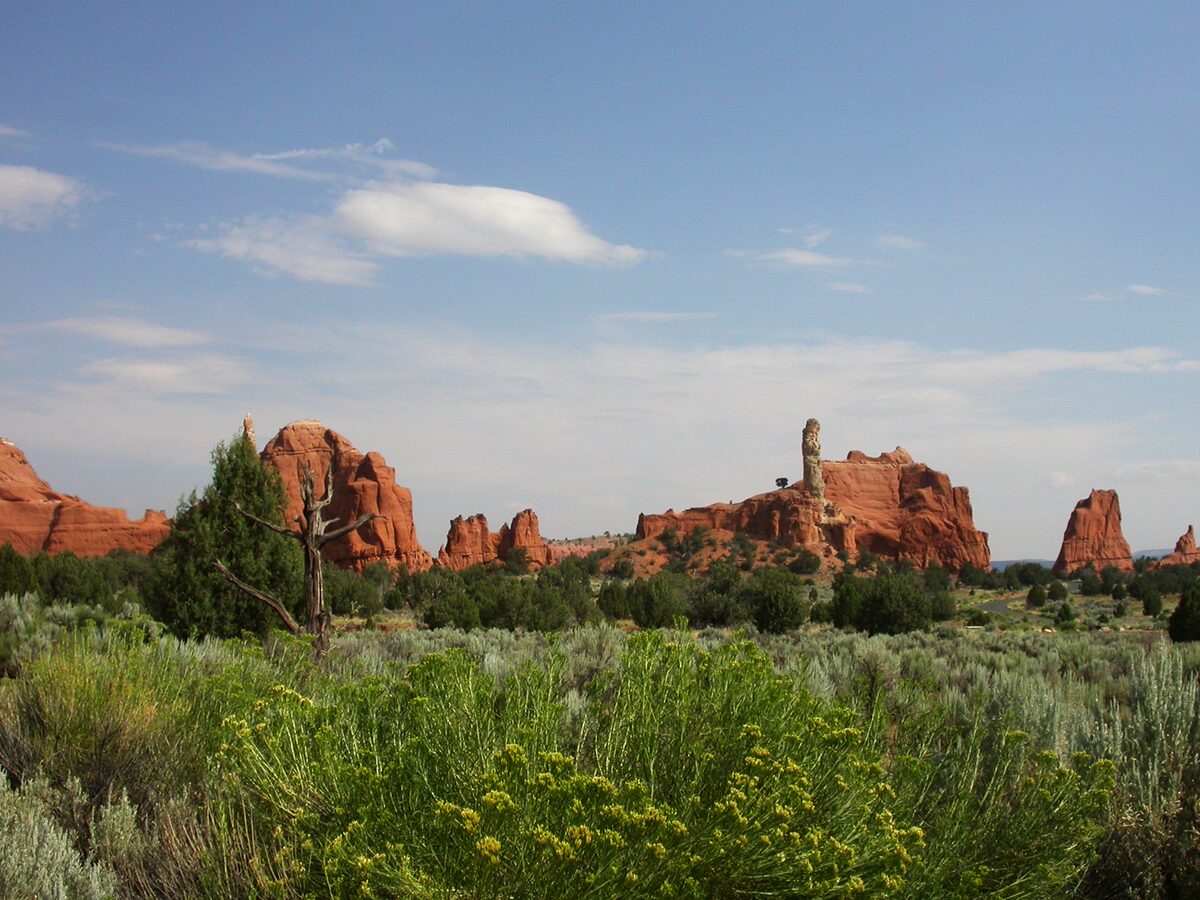 A sand pipe spire among red rock formations in Kodachrome Basin