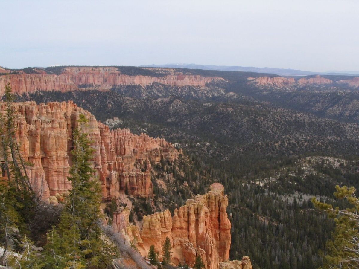 View south from Rainbow Point over forest and red hoodoo cliffs