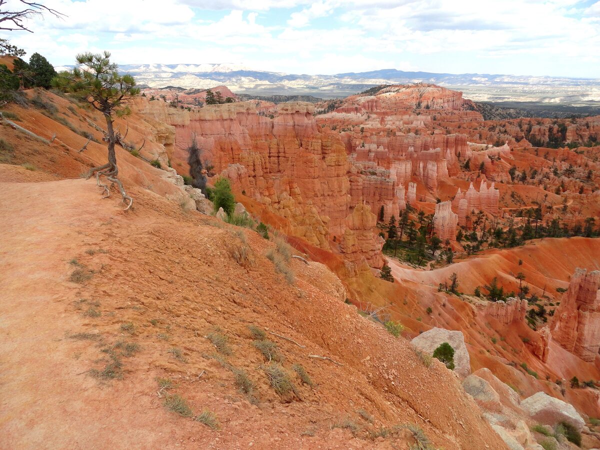 Rim Trail winding along the edge above the Bryce amphitheater