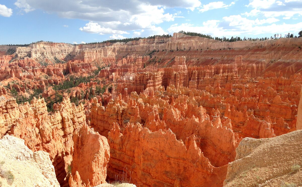 Orange hoodoos packed in the Bryce amphitheater seen from Sunset Point