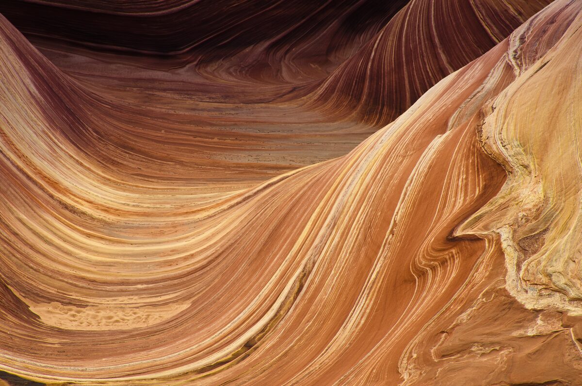 Swirling striped sandstone of the Wave in Coyote Buttes North