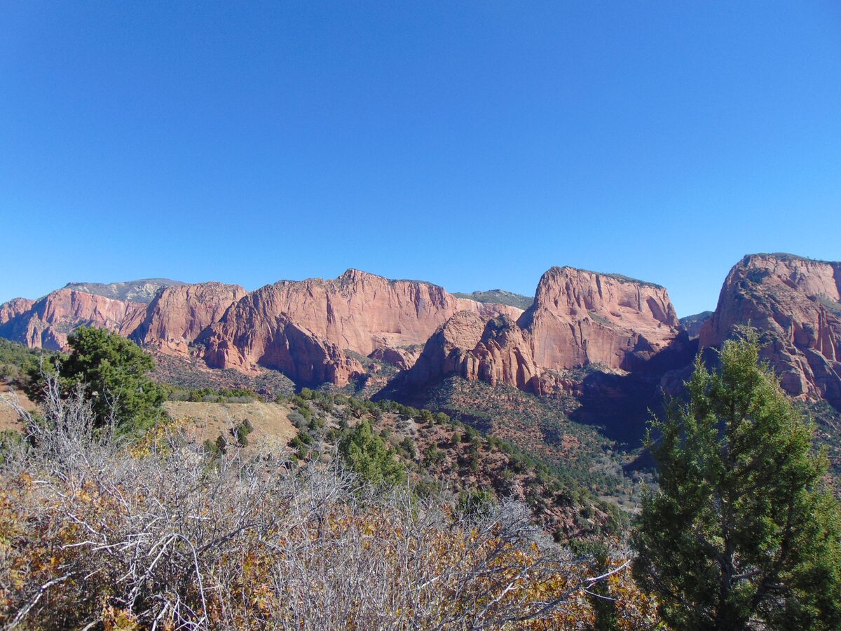 Red finger canyons of Kolob seen from Timber Creek Overlook