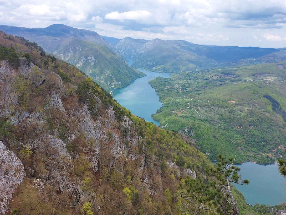 The view from Banjska stena down the steep wooded canyon to the turquoise Drina winding between green hills.