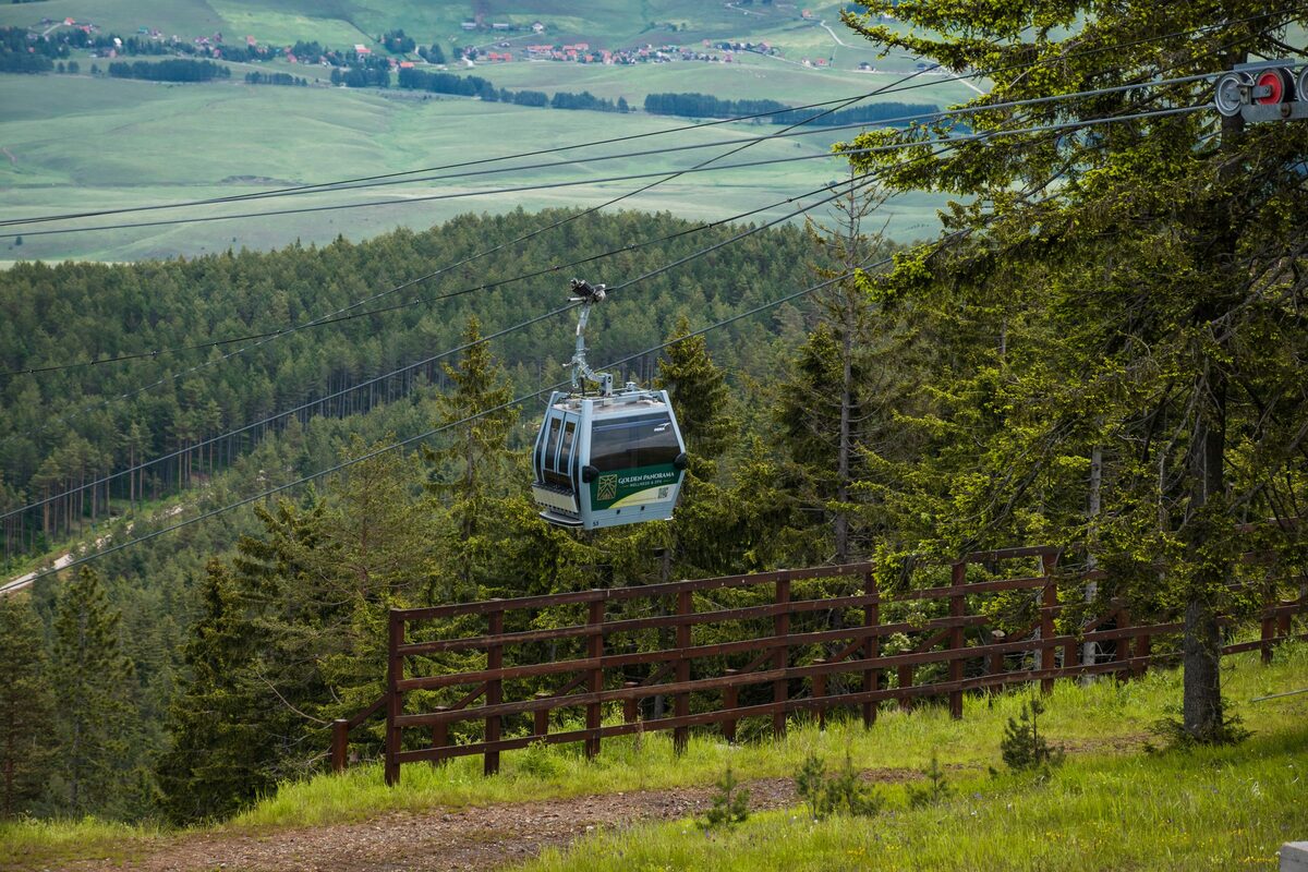 A Gold Gondola cabin gliding past pine trees and a wooden fence, with the green Zlatibor plateau spread out far below.