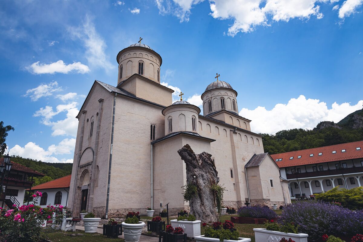 The pale stone church of Mileševa monastery with its domes against a blue sky, flowers and an old tree trunk in the courtyard in front.