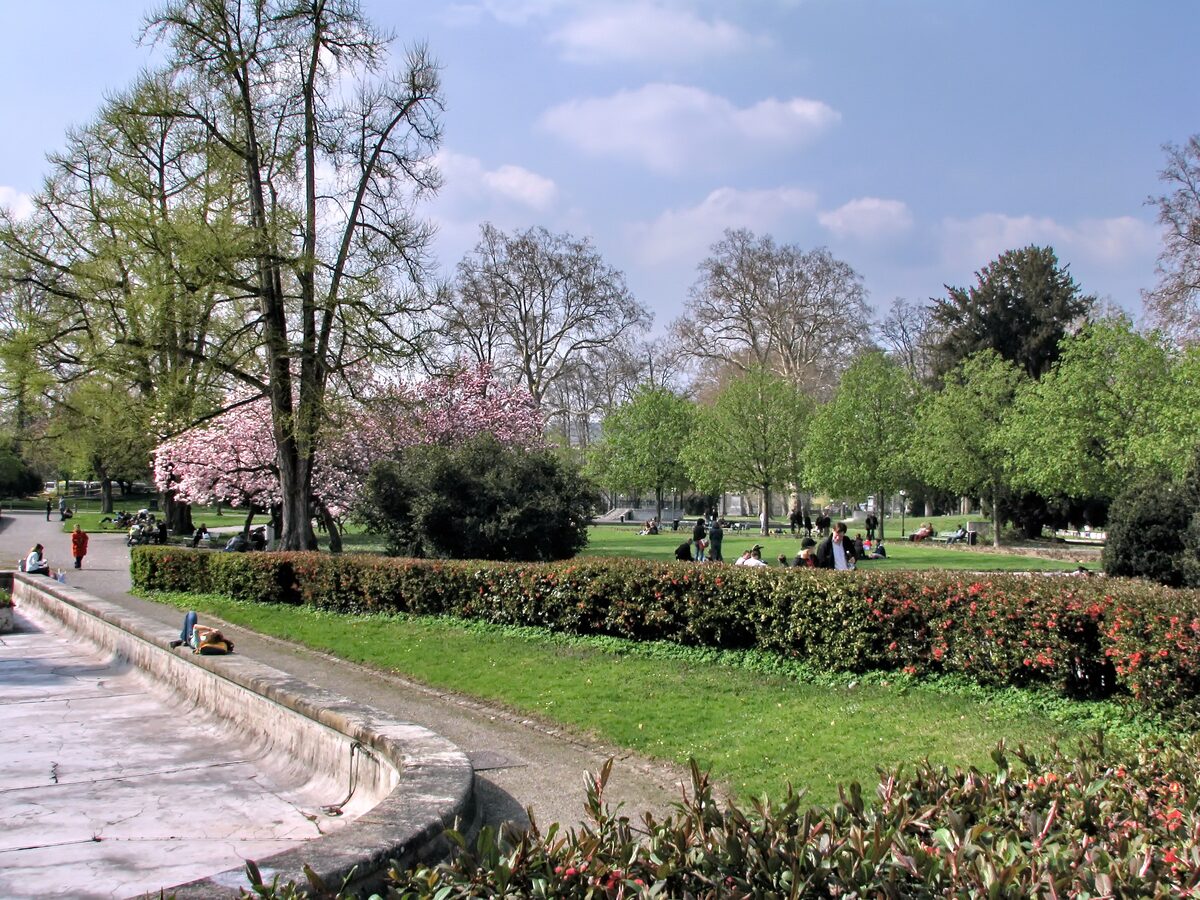 Lawns and spring blossom in the Platzspitz park, with walkers and people resting on the grass under tall trees