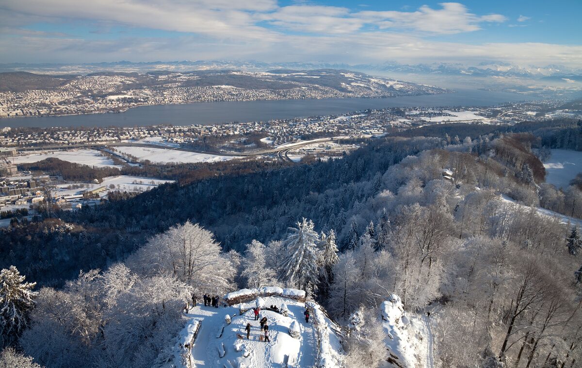 Snow-covered trees on the Uetliberg with the lake and the city far below under a winter sky